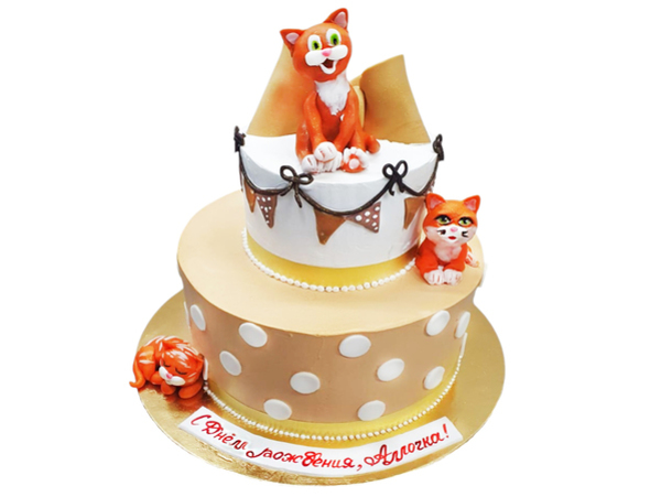 Конструктор