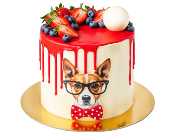 Конструктор